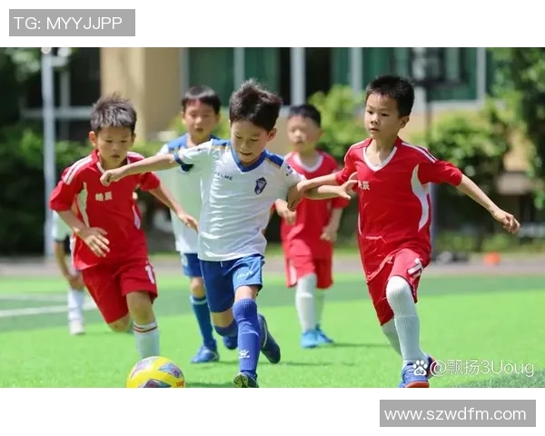 测试你与足球球星的相似度，看看谁是你在绿茵场上的双胞胎兄弟